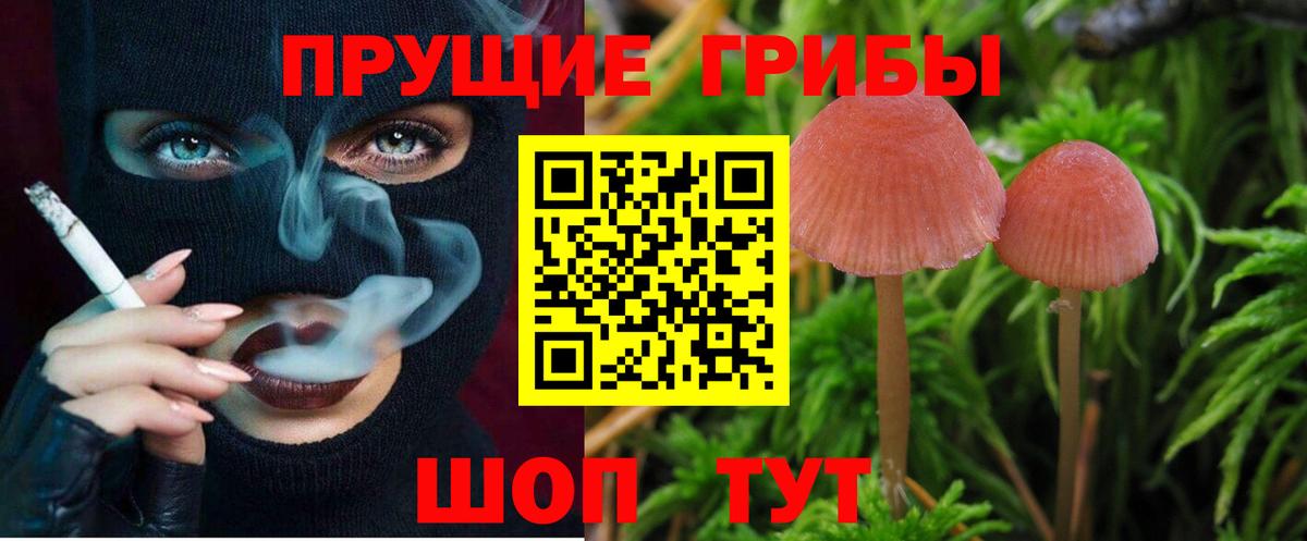 Галлюциногенные грибы MAGIC MUSHROOMS Губкин